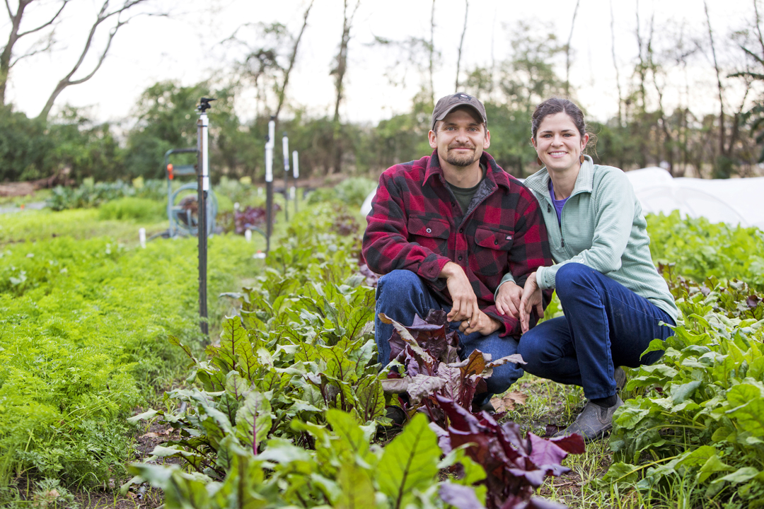 225 Fullness Farm, Collin Richie Photo, 12.31.15