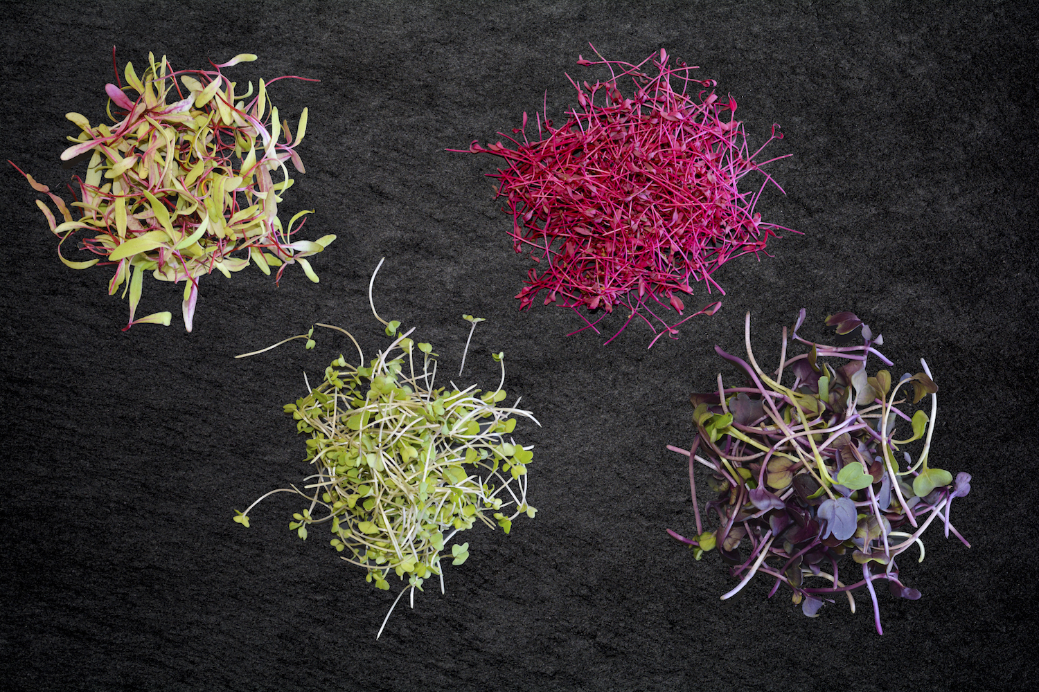 Top your dinner with colorful microgreens - [225]