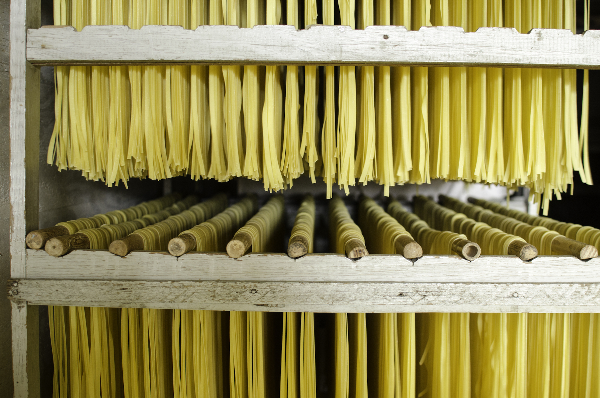 DAgostinoPasta_2016_MiriamBuckner_19 copy