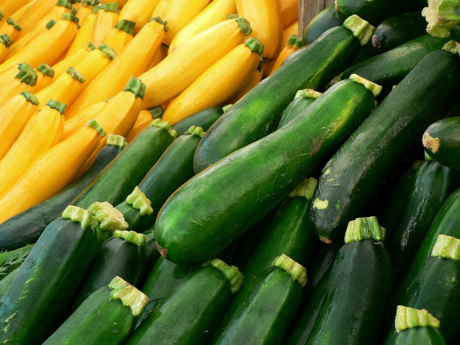 Yellow and green squash