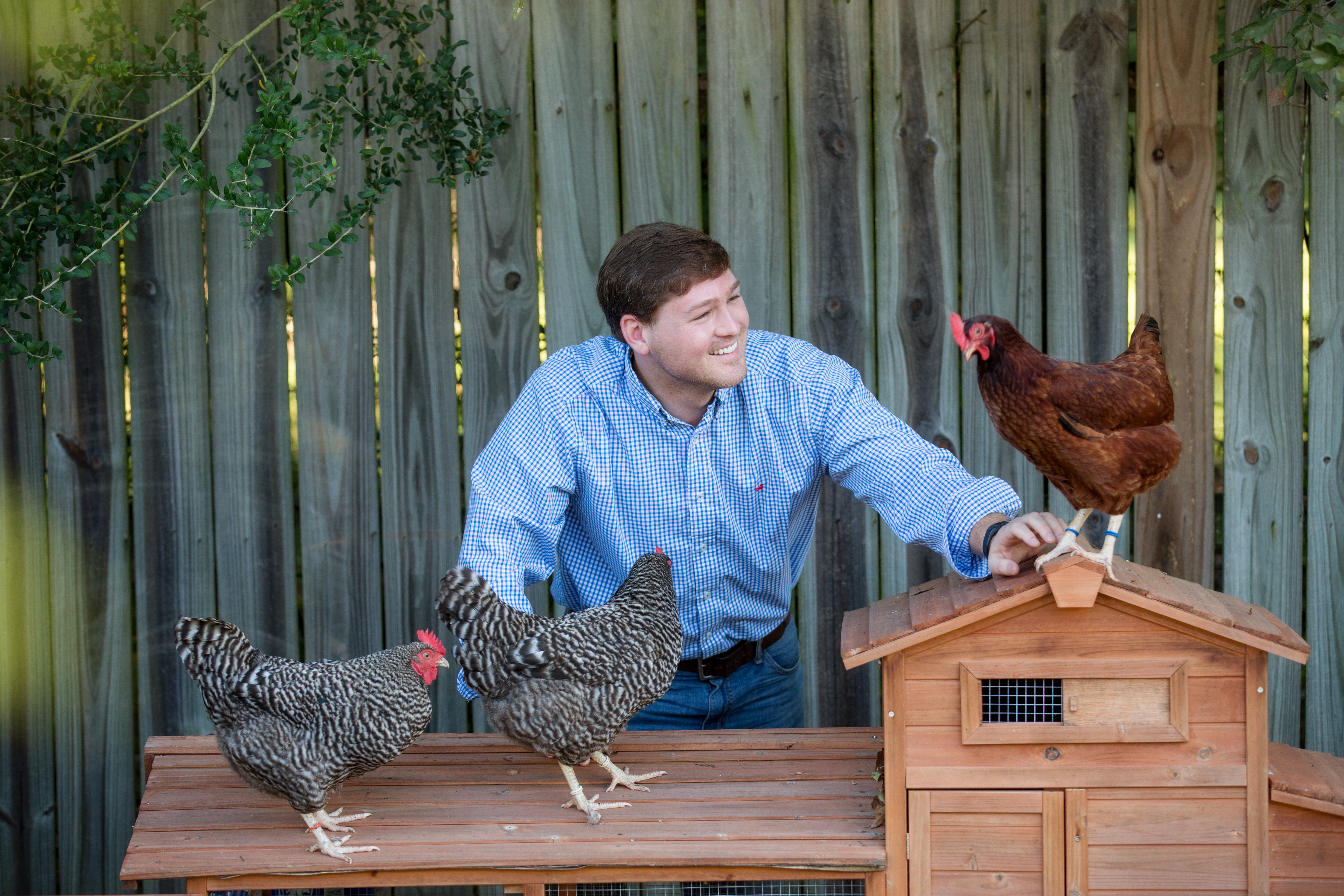 Eric Reimsnyder, 10.27.17, chickens