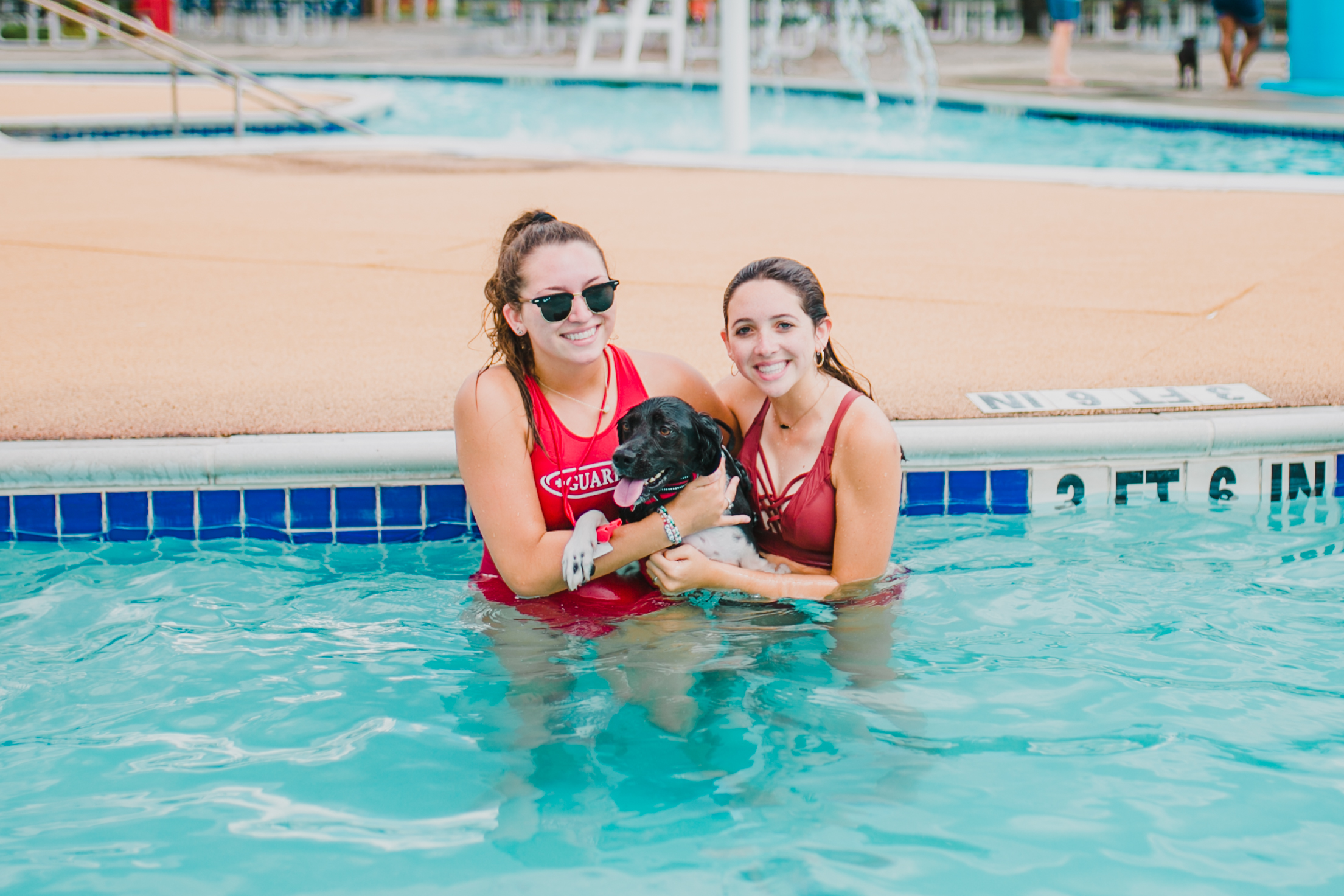 Puppy Pool Pawty