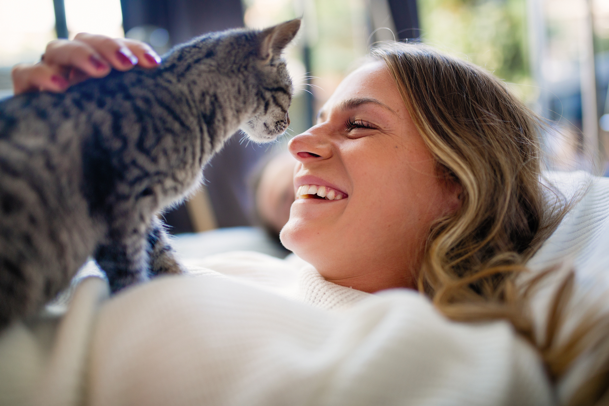iStock Cat care