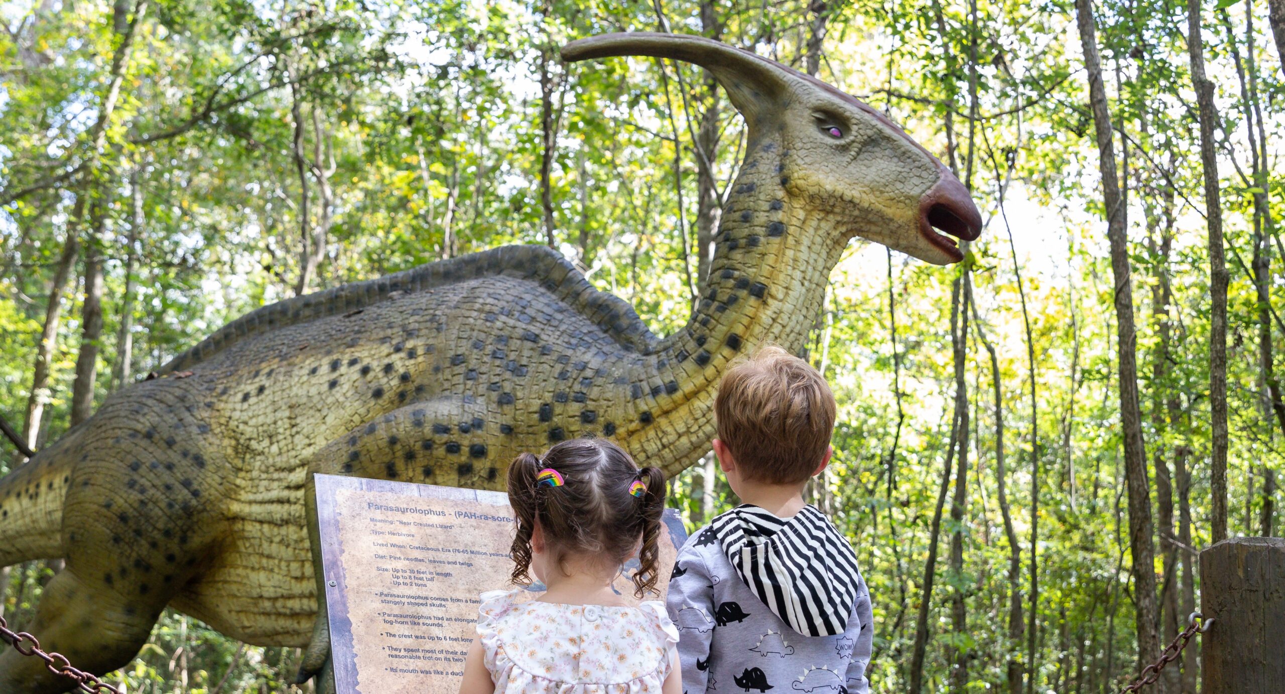 Prehistoric Park, Henderson
