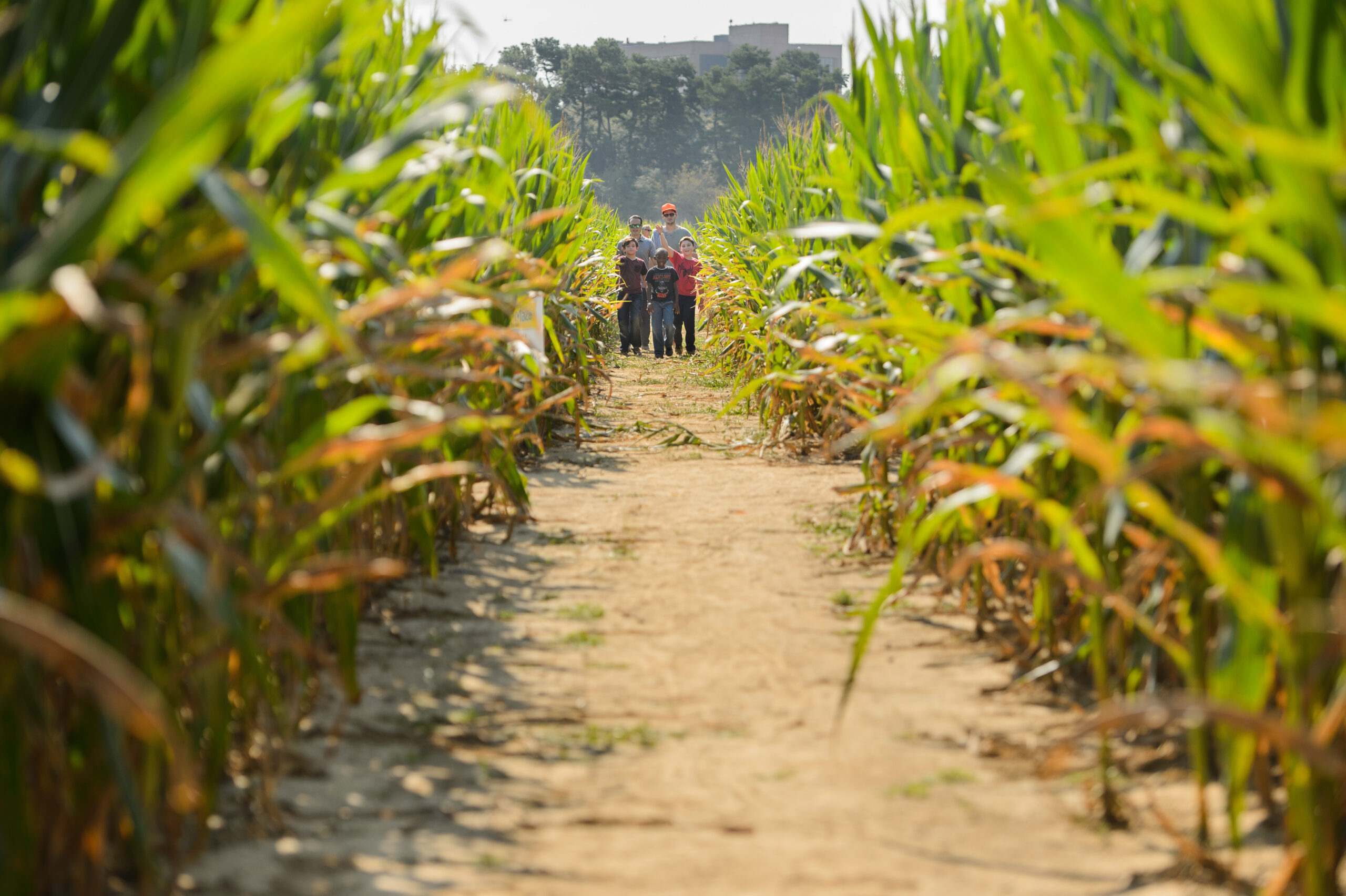 all-the-fall-themed-events-to-enjoy-this-season-at-burden-225