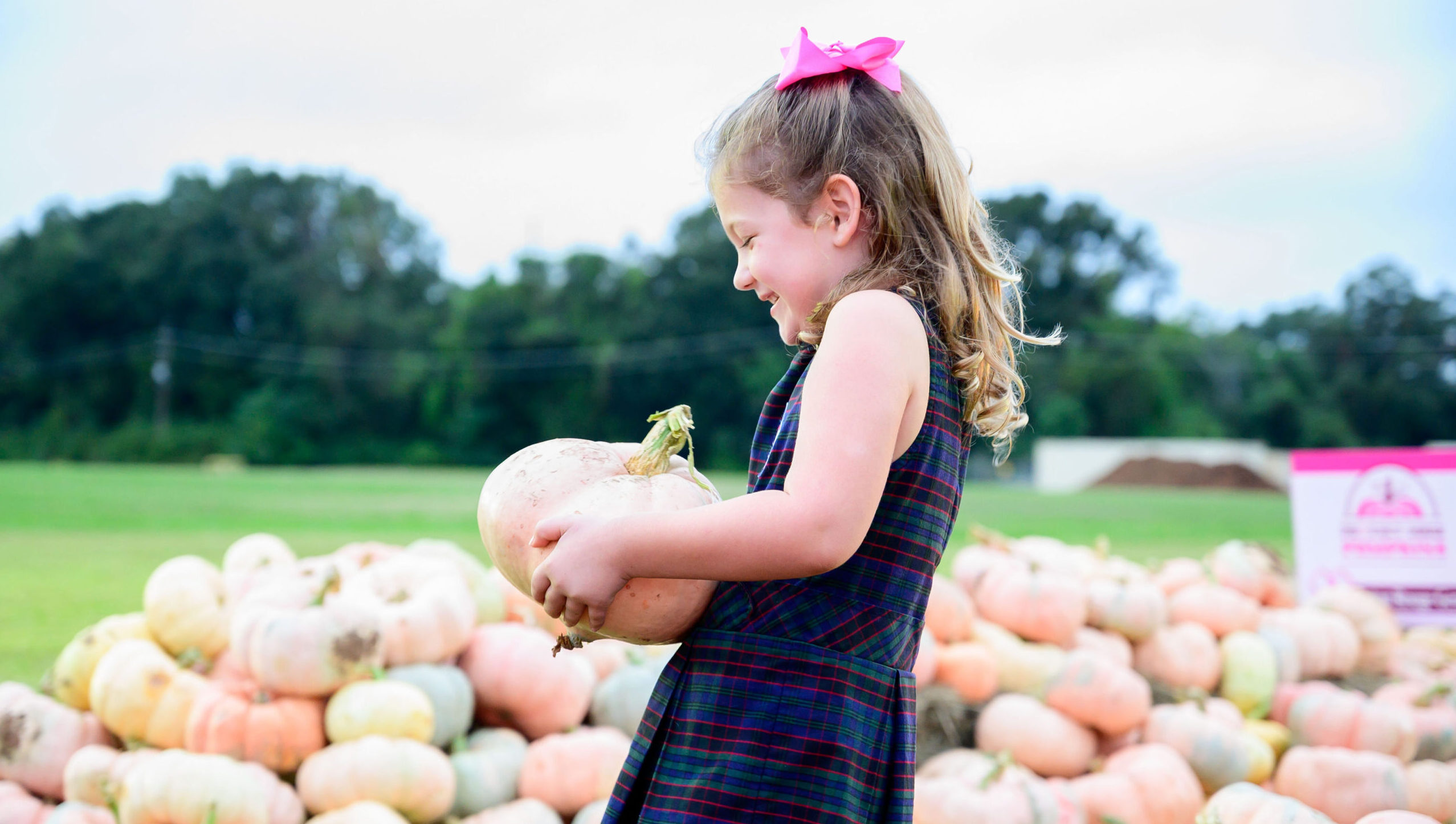 BRGeneralPinkPumpkins_6