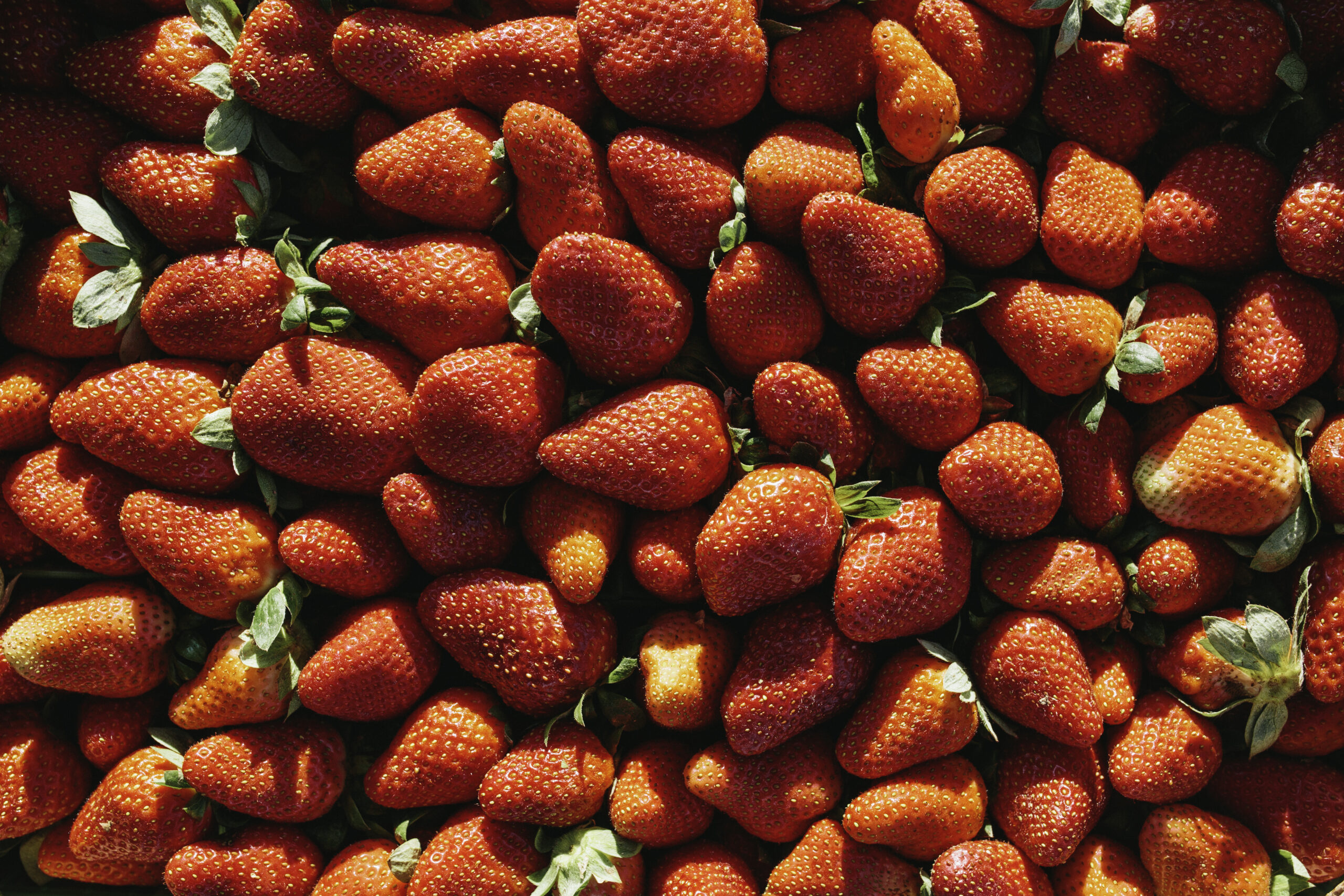 Ponchatoula Strawberries