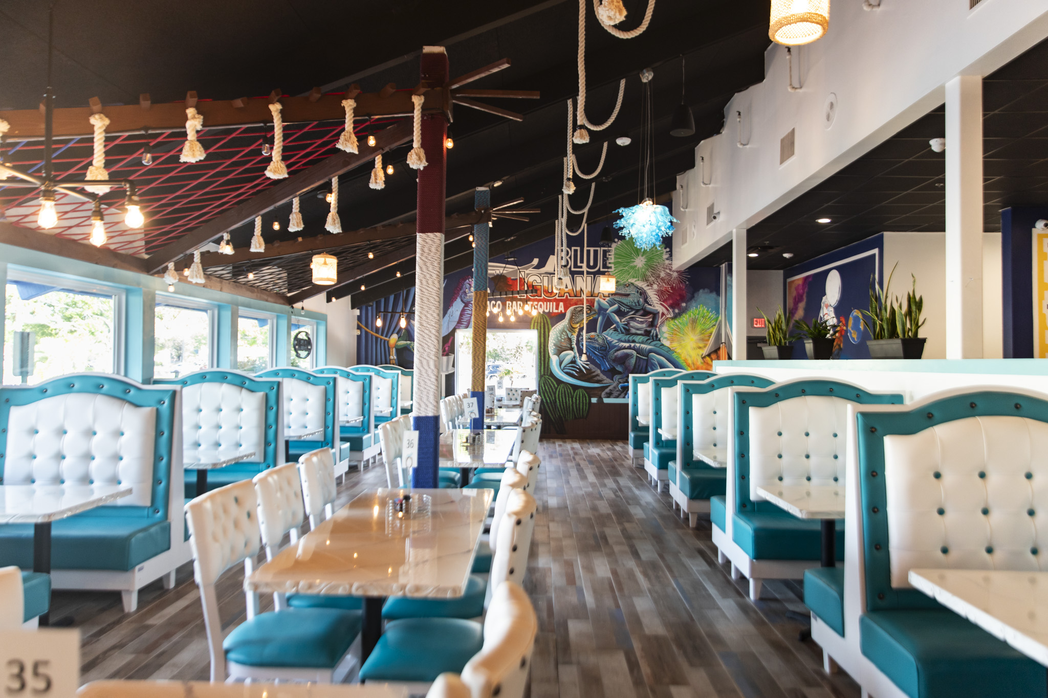 Blue Iguana