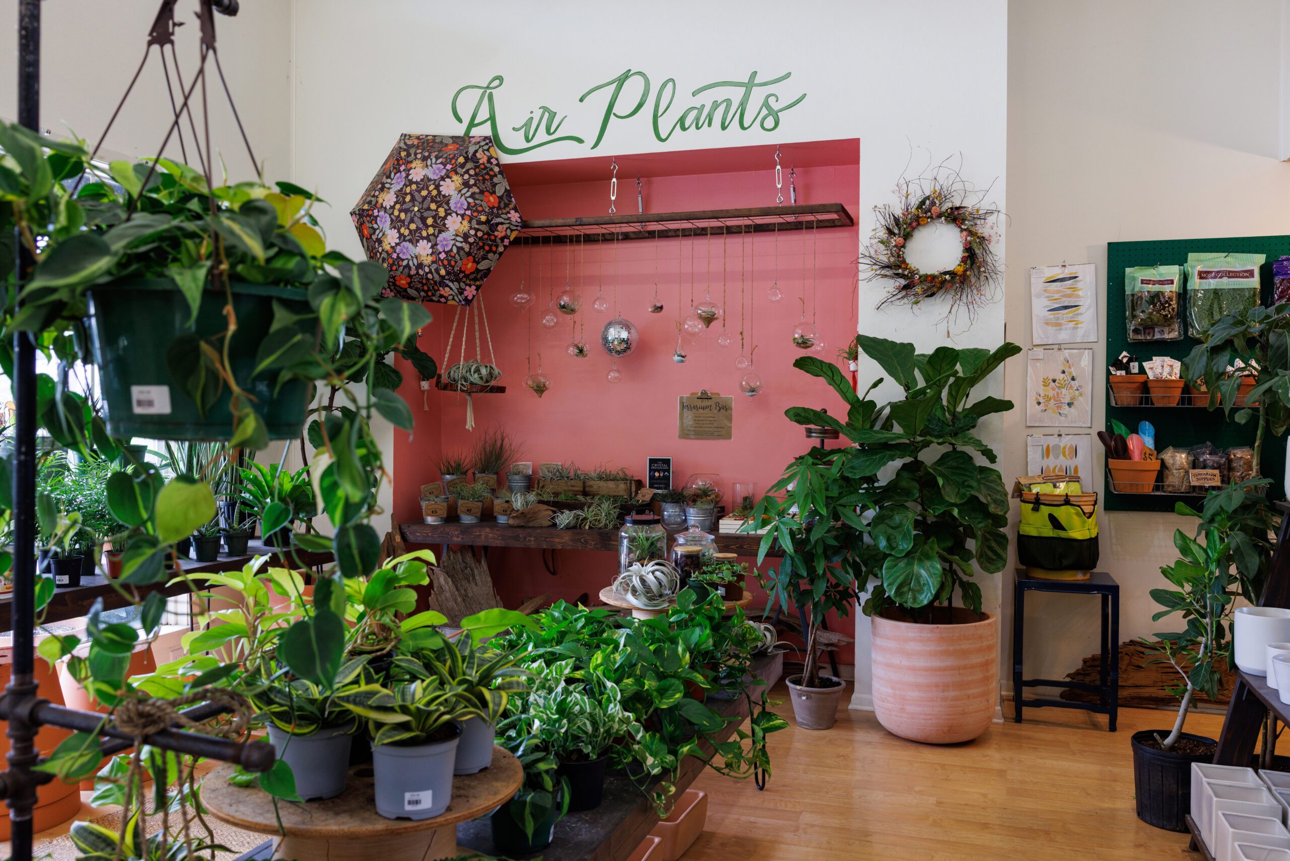 Things to do this weekend in Baton Rouge: (Neighbor) Hood Fest, a fairy garden workshop and more